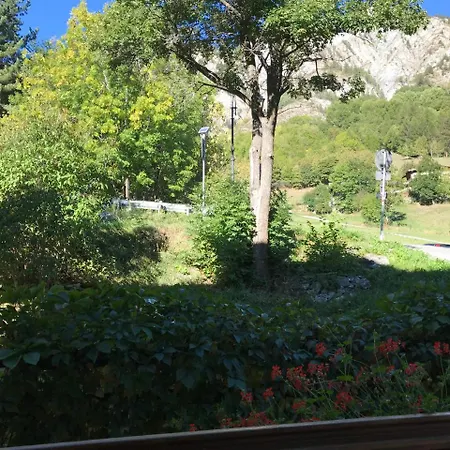 La Nigritella Bardonecchia