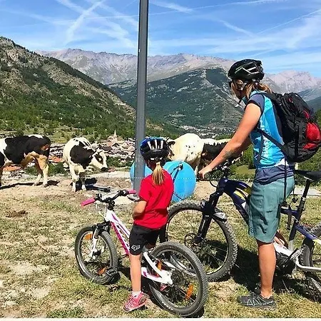 La Nigritella Bardonecchia
